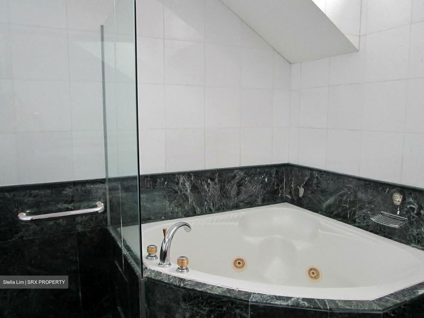 Fifth Avenue Condominium (D10), Condominium #618828221